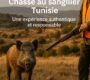 Chasse au Sanglier en Tunisie 90x80